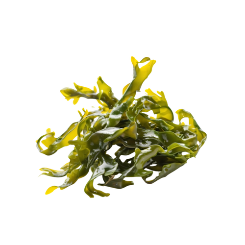 Ingredient 4